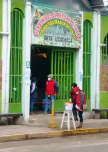 andes virus — US news