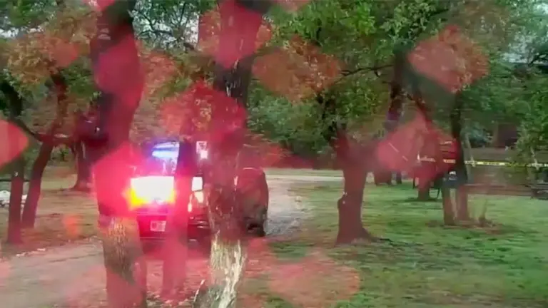 Cessna 421C Plane Crash in Texas Claims Five Lives