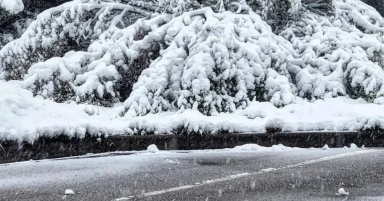 Colorado snow school closures