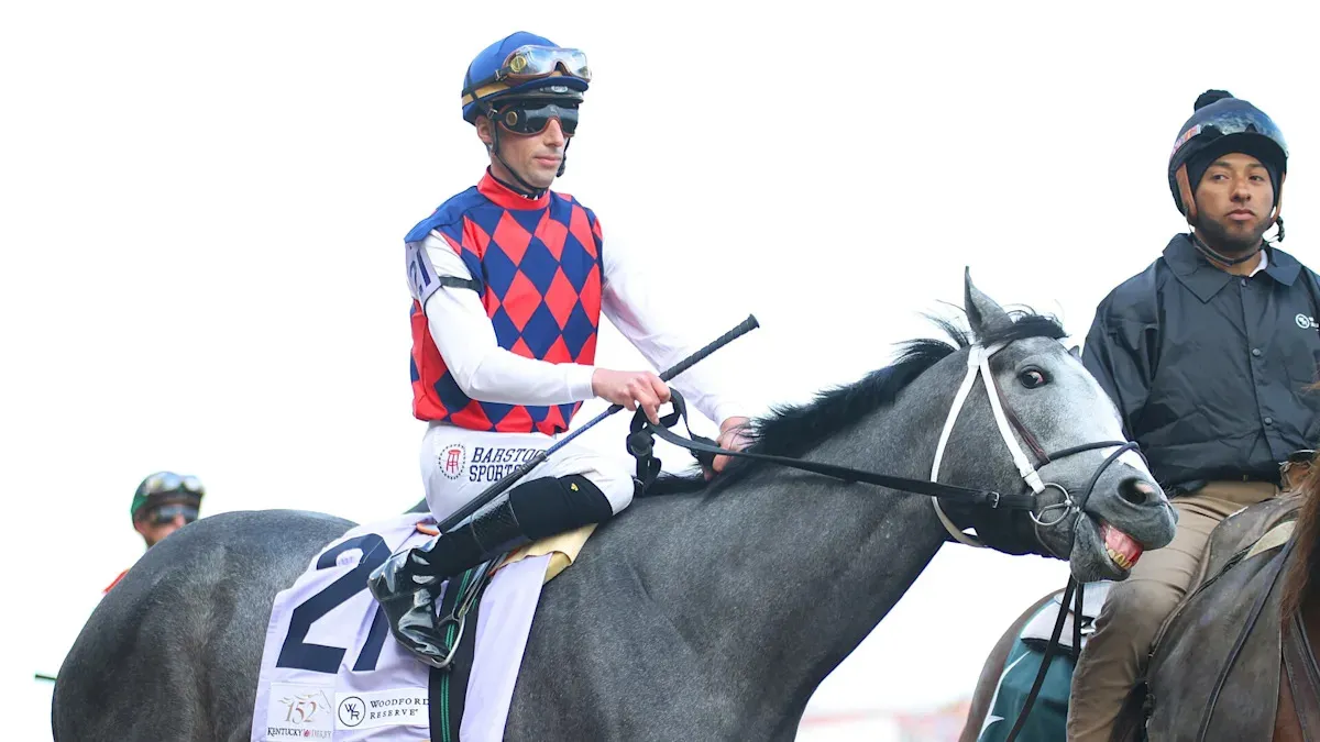 great white horse — US news