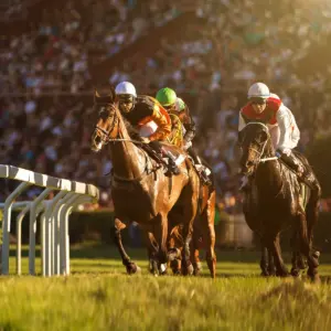 kentucky oaks results — US news