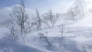 snow storm — US news