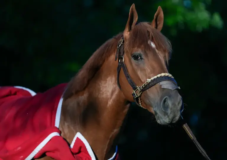 The Puma’s Unexpected Scratch from the Kentucky Derby